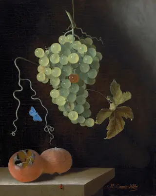 Still Life with a Hanging Bunch of Grapes, Two Medlars, and a Butterfly, by Adriaen Coorte