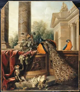 Still Life with a Peacock, by Alexandre-François Desportes
