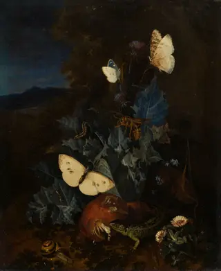 Still-life with a thistle, boletus, snail, lizard, butterflies and a bee in a landscape