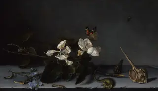 Still Life with Apple Blossoms, by Balthasar van der Ast