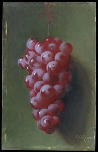 Still Life with Grapes, by Carducius Plantagenet Ream