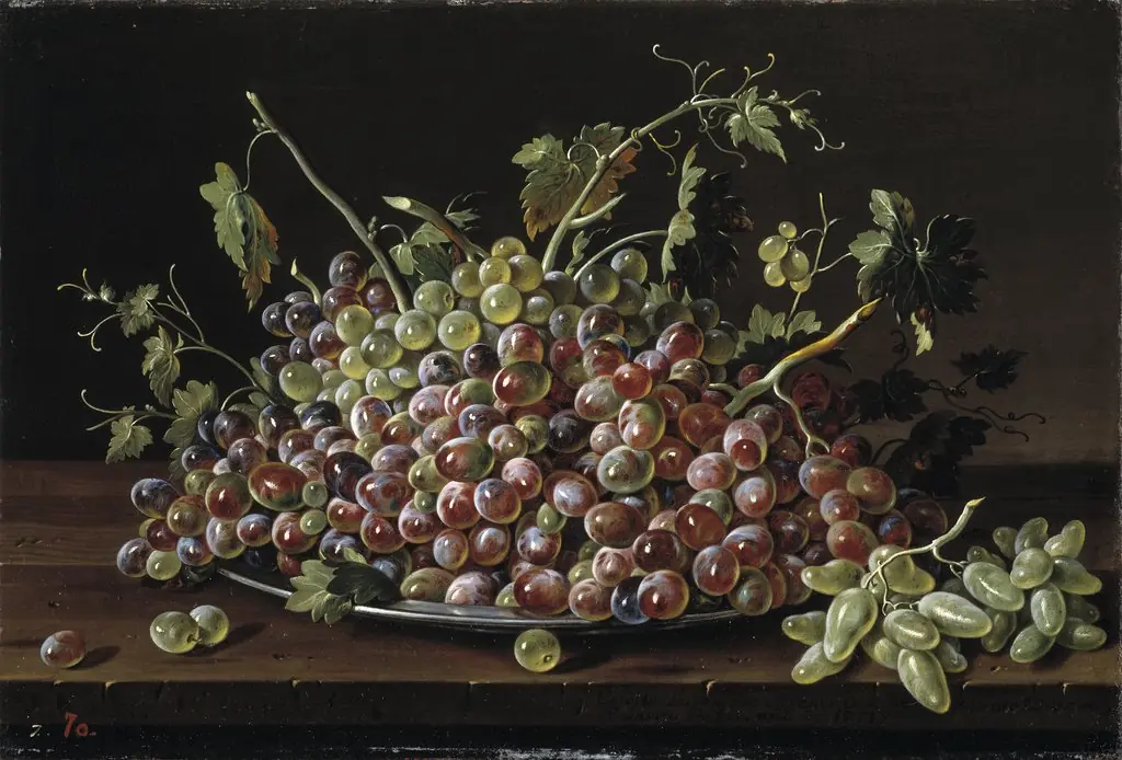 Still Life with Grapes