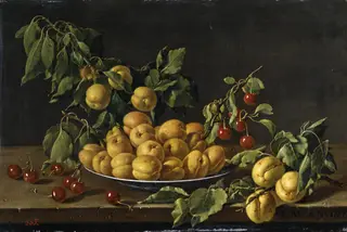 Still Life with Plate of Apricots and Morello Cherries