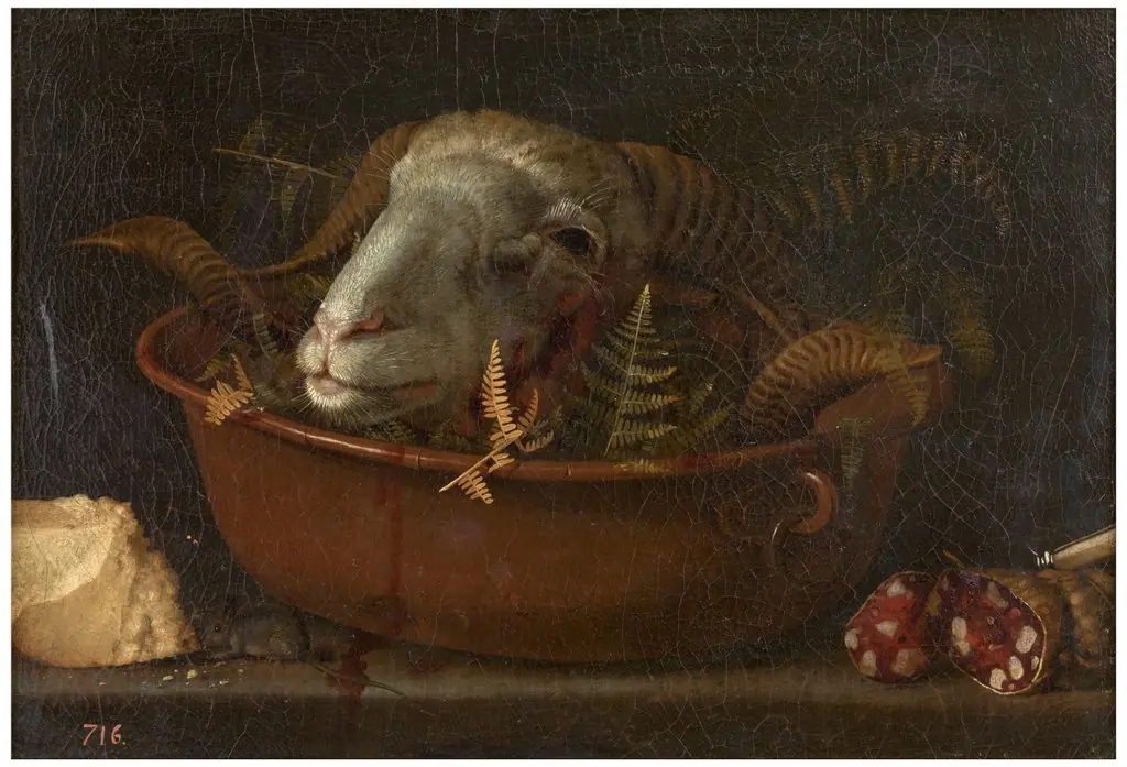 Still life with ram head