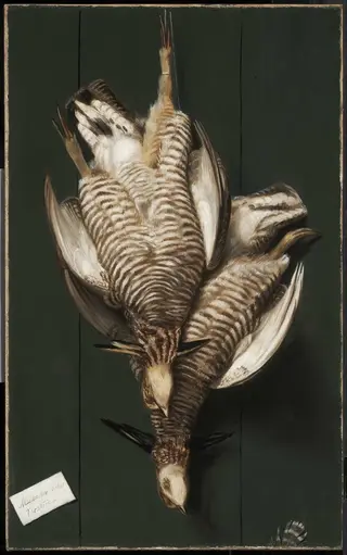 Still Life with Two Game Birds, by Alexander Pope