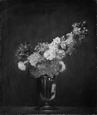 Stocks and Carnations
