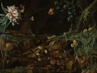 Stream in a dell, with flowers, reptiles, etc...