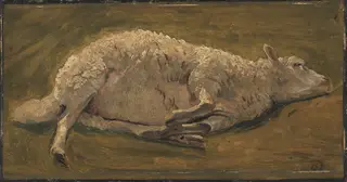 Studie af et liggende får, by Carlo Dalgas