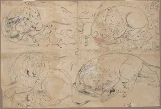 Studies of a Lion Killing Prey