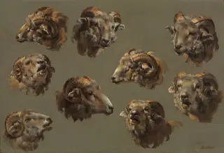 Studies of Ram Heads