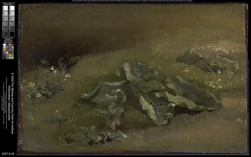 Study of a Burdock