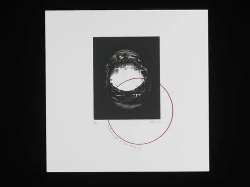 Quadrature of the Circle X, by Sumi Perera