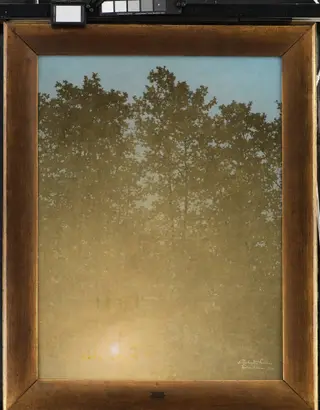 Sunset. Fontainebleau