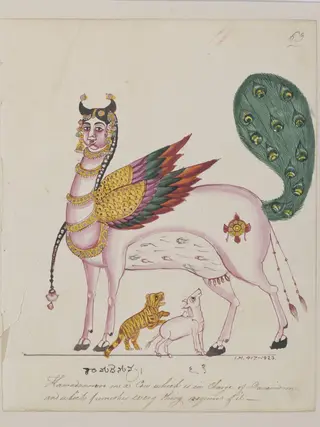 Surabhi or Kamadhenu, the magic wish granting cow