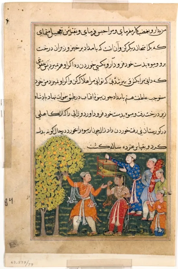 The king plucks fruit from the Tree of Life with his own hands and feeds it to a lady, from a Tuti-nama (Tales of a Parrot): Ninth Night, by Suraju, unspecified, 1560