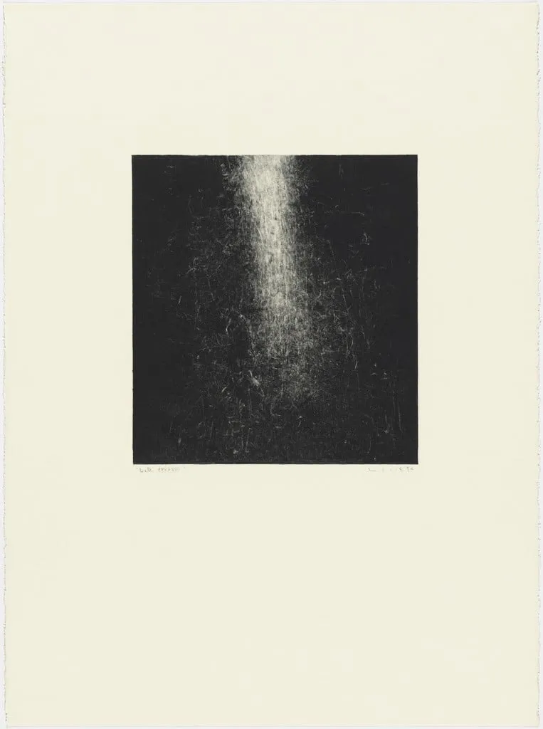 Untitled, by Susan Hambleton, 1994