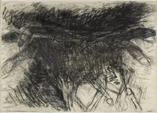 Untitled, by Susan Rothenberg