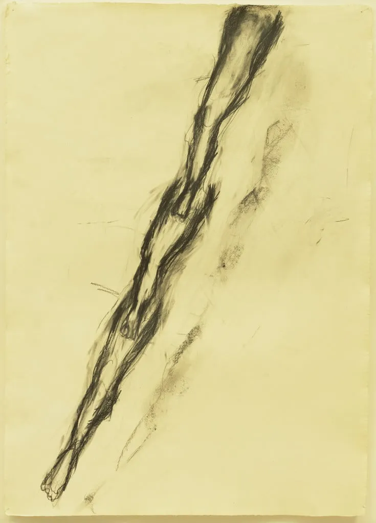 Untitled, by Susan Rothenberg, graphite, 1982