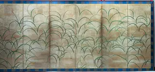 Susuki Grass