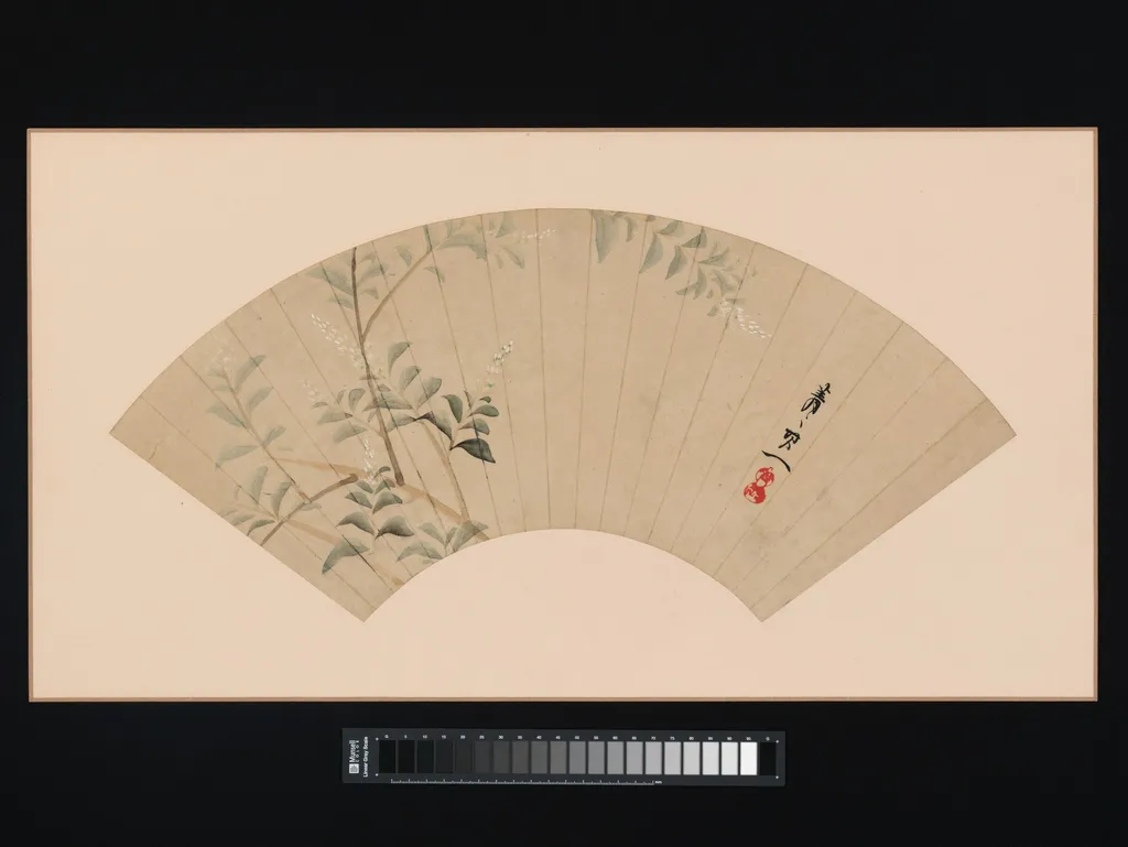Bush Clover, by Suzuki Kiitsu, unspecified, 1741