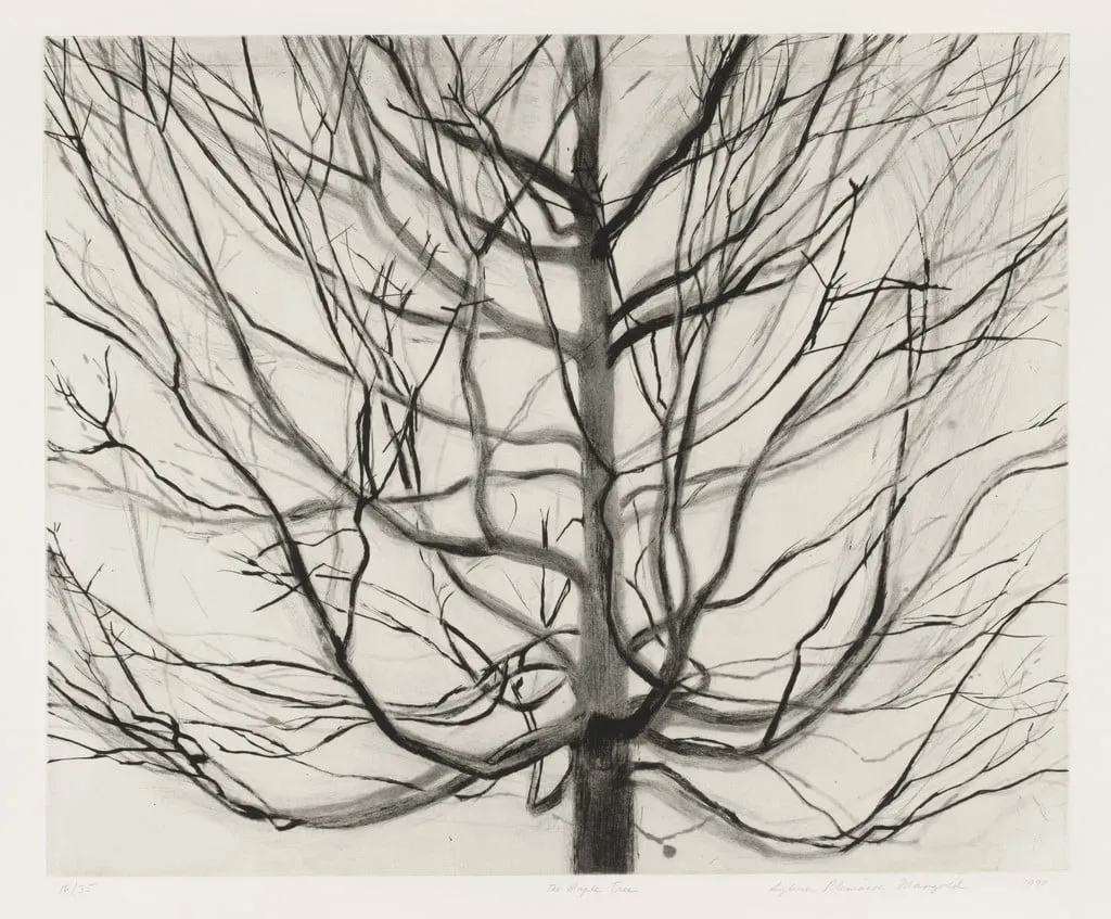Untitled, by Sylvia Plimack Mangold, ink, 1990