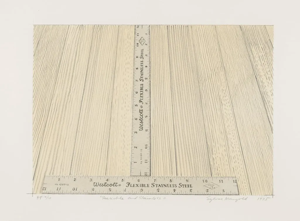 Untitled, by Sylvia Plimack Mangold, ink, 1975