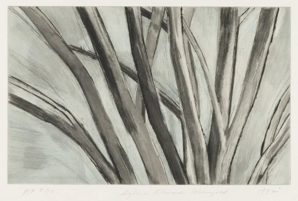 Untitled, by Sylvia Plimack Mangold, ink, 1997
