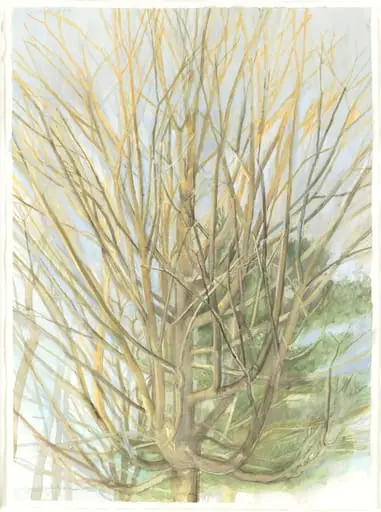 Untitled, by Sylvia Plimack Mangold