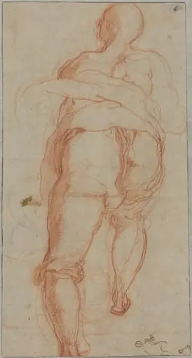 A Man Seen from Behind [verso], by Taddeo Zuccaro