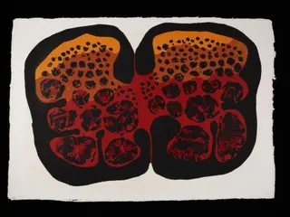 Embryo, by Tadeusz Franz Beutlich