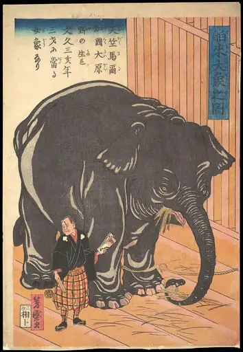 Hakurai taizo no zu|View of the Large Imported Elephant