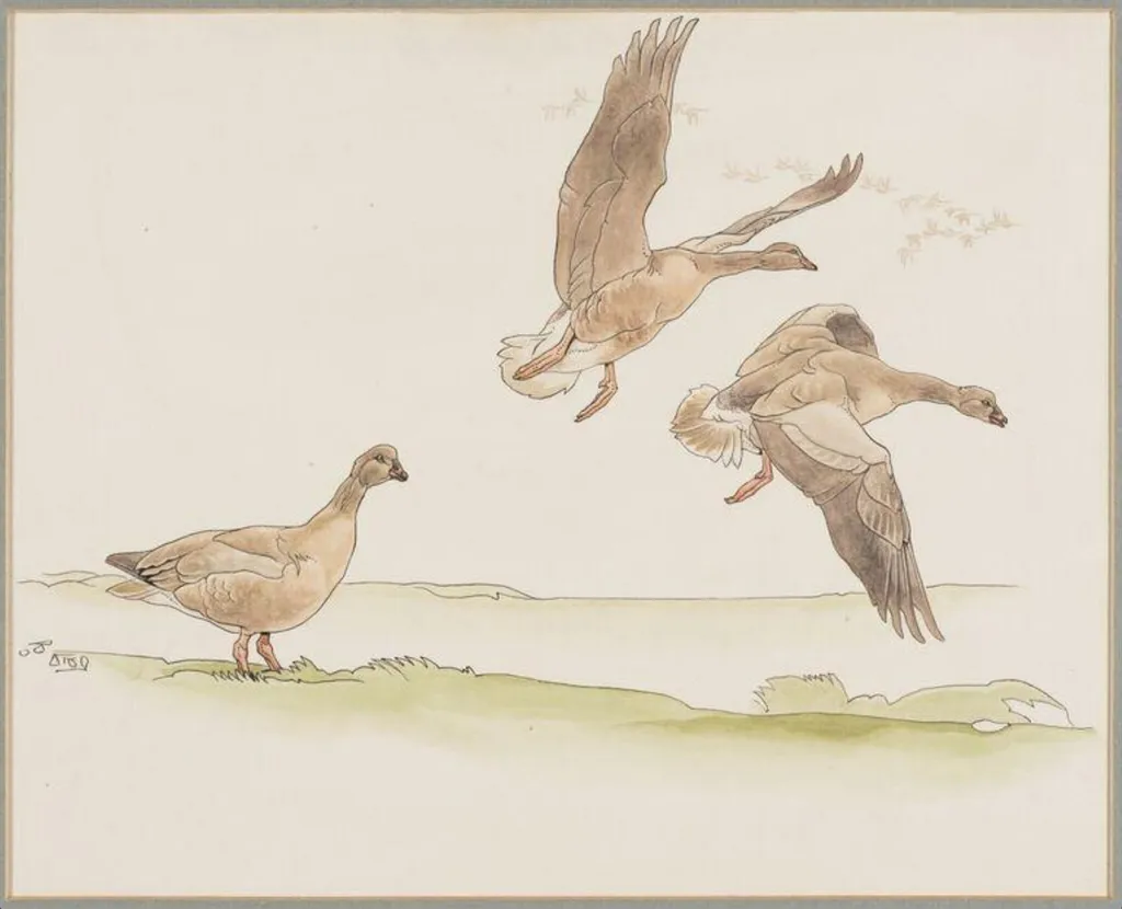 Pink-footed Geese, by Talbot Kelly, watercolor