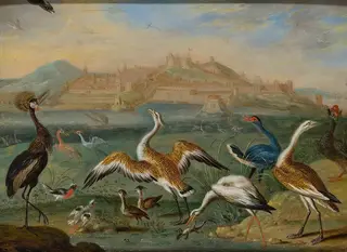 Tangier, by Ferdinand van Kessel the Elder