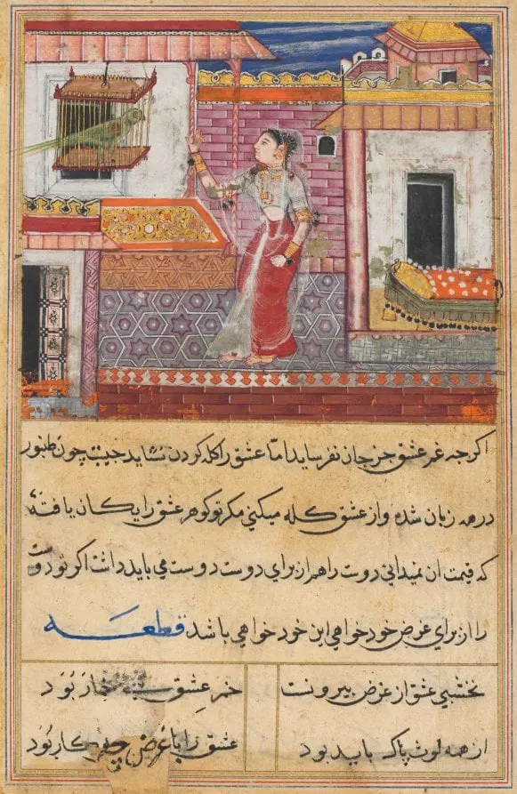 The Parrot Addresses Khujasta at the Beginning of the Thirteenth Night, from a Tuti-nama (Tales of a Parrot), by Tara 1, unspecified, 1560