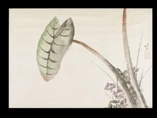Taro Potato Leaf and Bellflowers