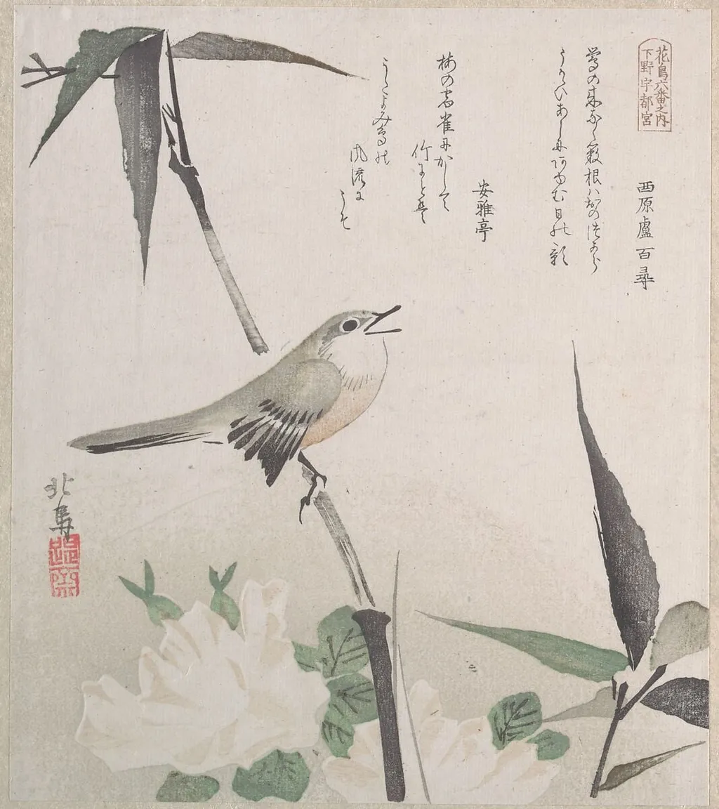 Untitled, by Teisai Hokuba, ink