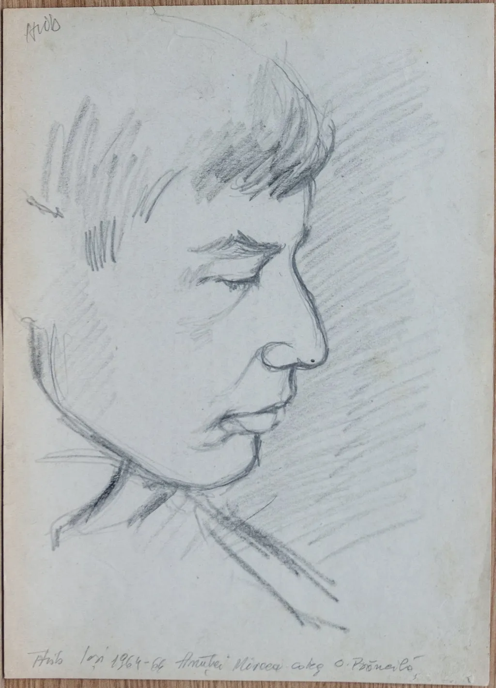 Anuței Mircea coleg, by Teodor Hrib, 1950
