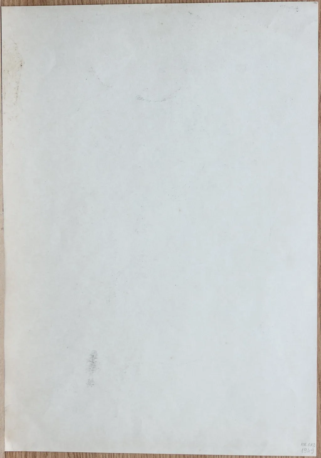 Cap de bărbat, by Teodor Hrib, 1950