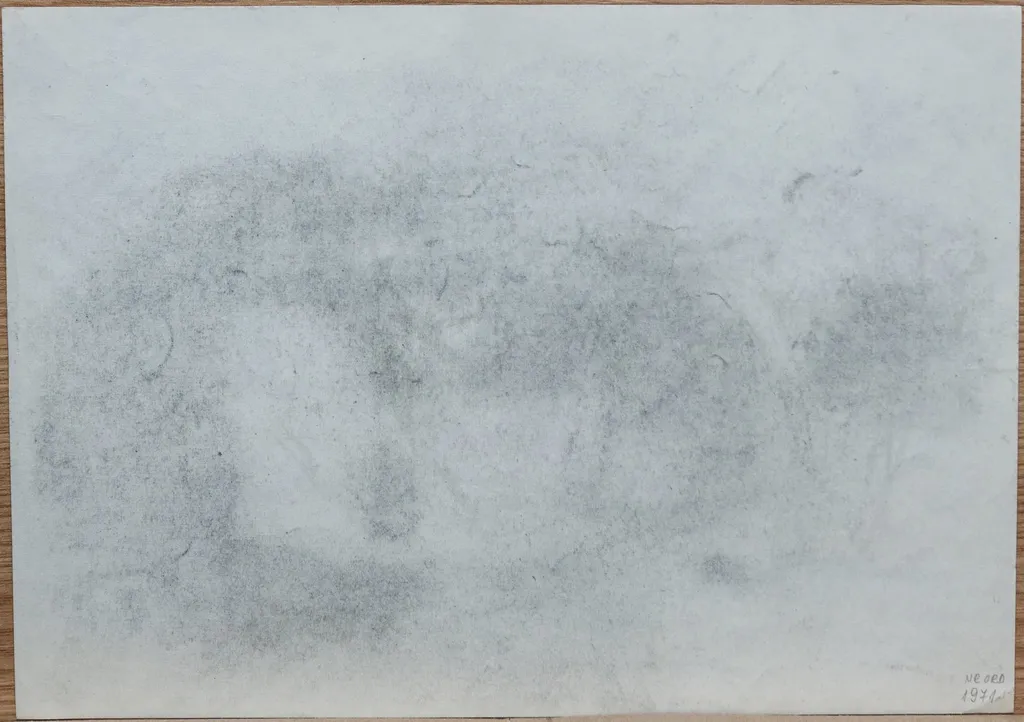 Natură statică (copie), by Teodor Hrib, 1950