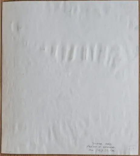 Poetul în grădină, by Teodor Hrib