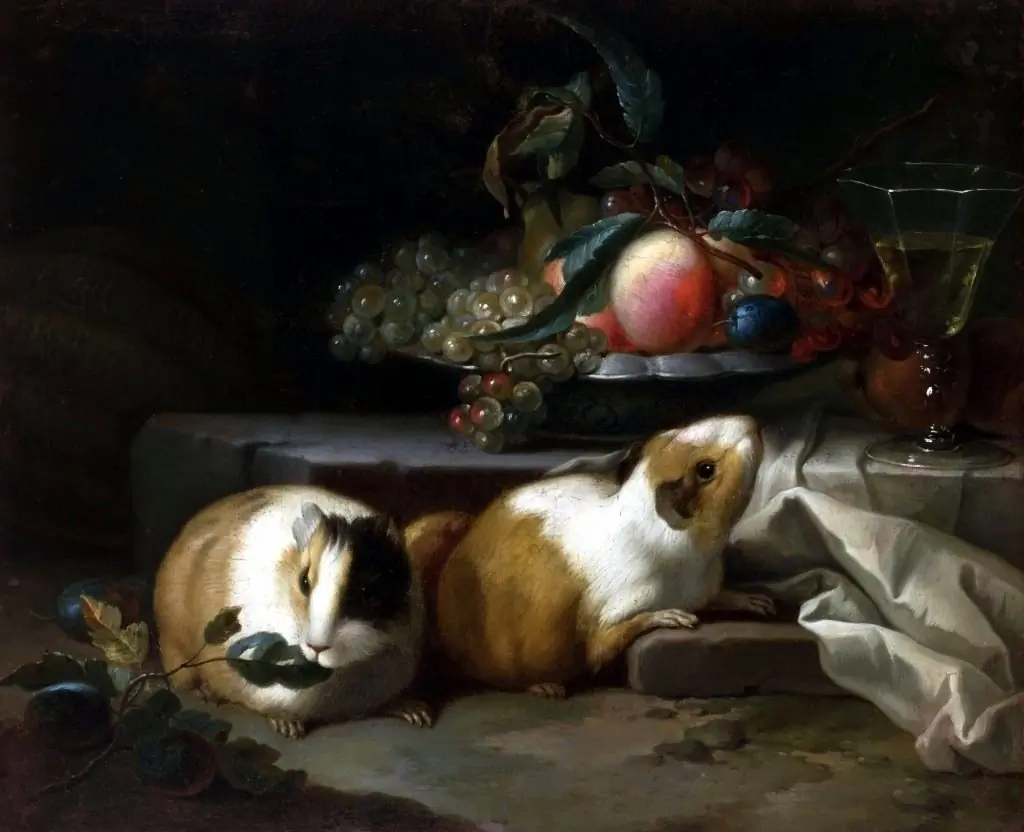 Still life with guinea pigs., by Teodor Lubieniecki