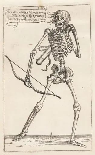 Skeleton of a Man with Bow and Arrow, by Teodoro Filippo di Liagno