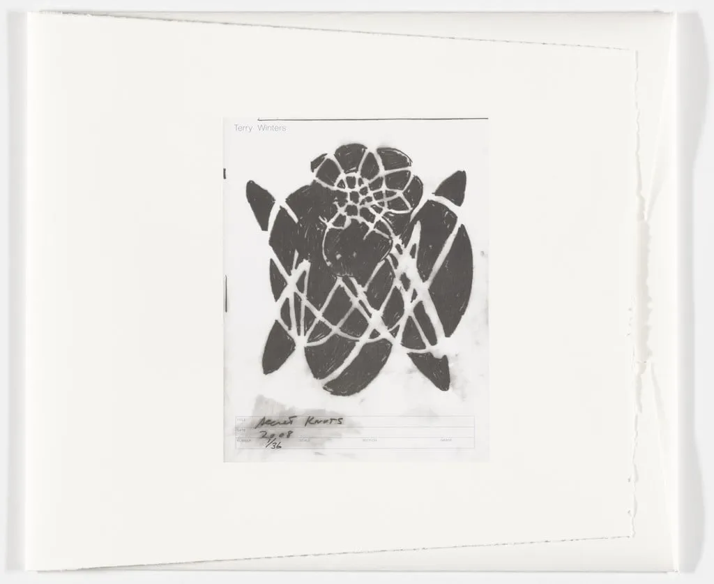 Untitled, by Terry Winters, ink, 2008