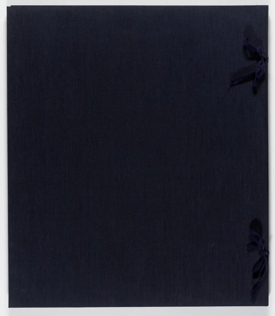 Untitled, by Terry Winters, ink, 1994