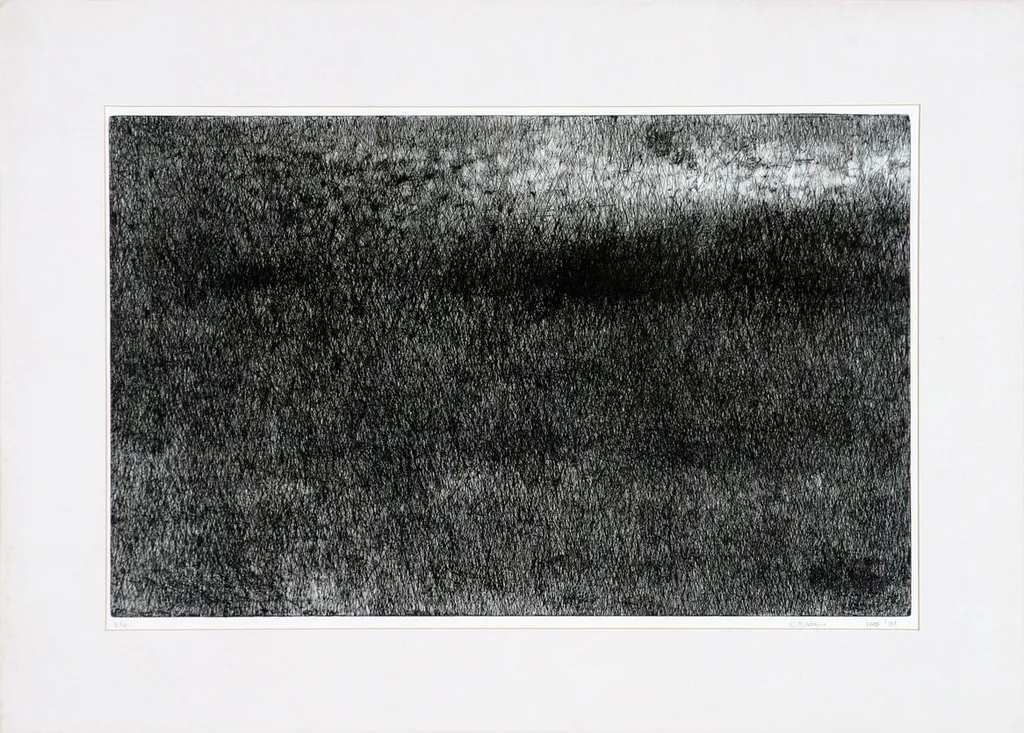 Χωρίς τίτλο, by Th. Vlachou, 2001