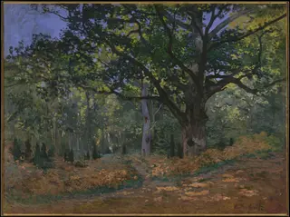 The Bodmer Oak, Fontainebleau Forest, by Claude Monet