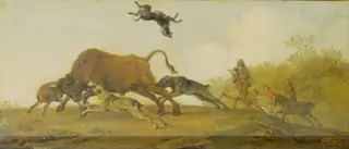 The Bull Hunt, by Paulus Potter