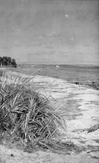 The Coast of Vedbæk, North of Copenhagen