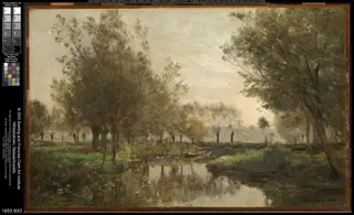 The Creek