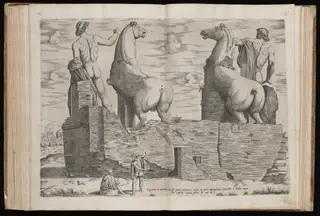 The Dioscuri [Dorsal View]
